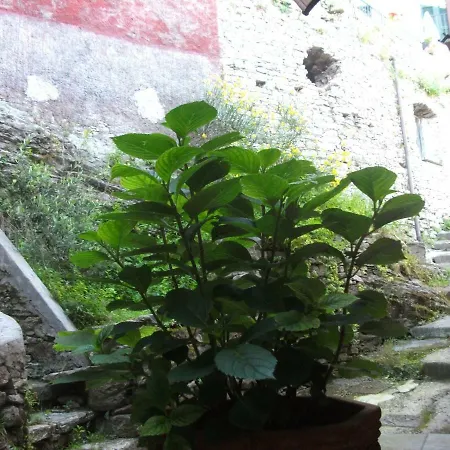 La Casa Nel Borgo Casa de hóspedes Riccò del Golfo di Spezia